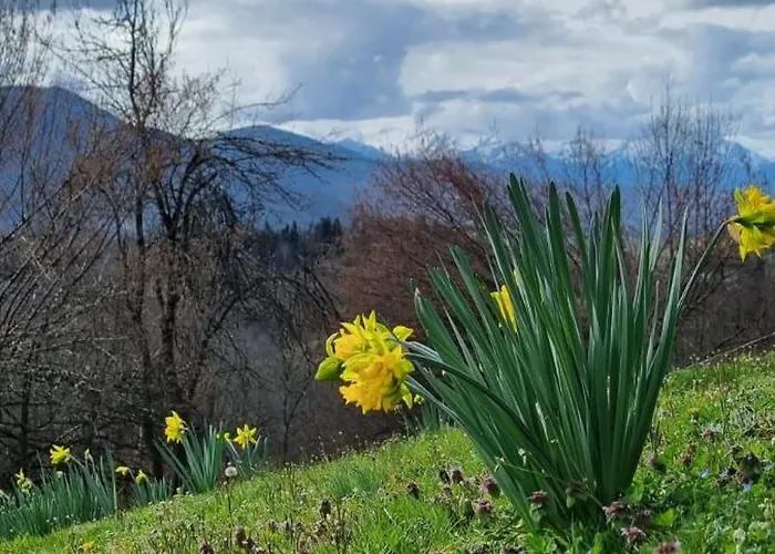 De Montagne Boussenac