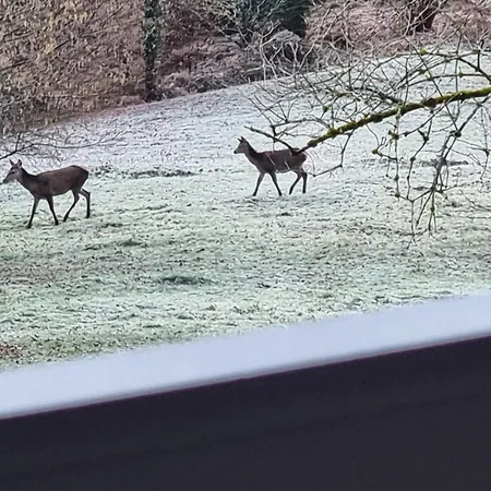 De Montagne Vakantiehuis *