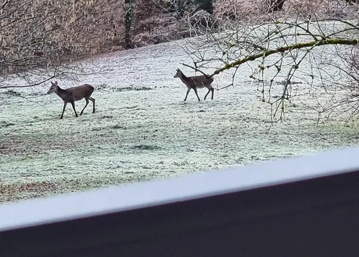 De Montagne 度假居 *